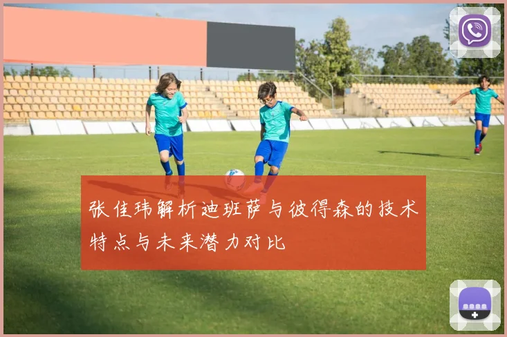 张佳玮解析迪班萨与彼得森的技术特点与未来潜力对比